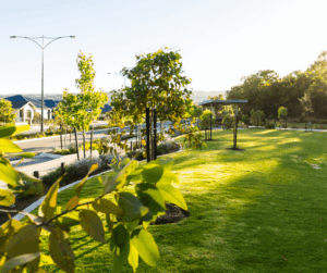 Landscaped open space and residential streetscape in Whitby Town WA