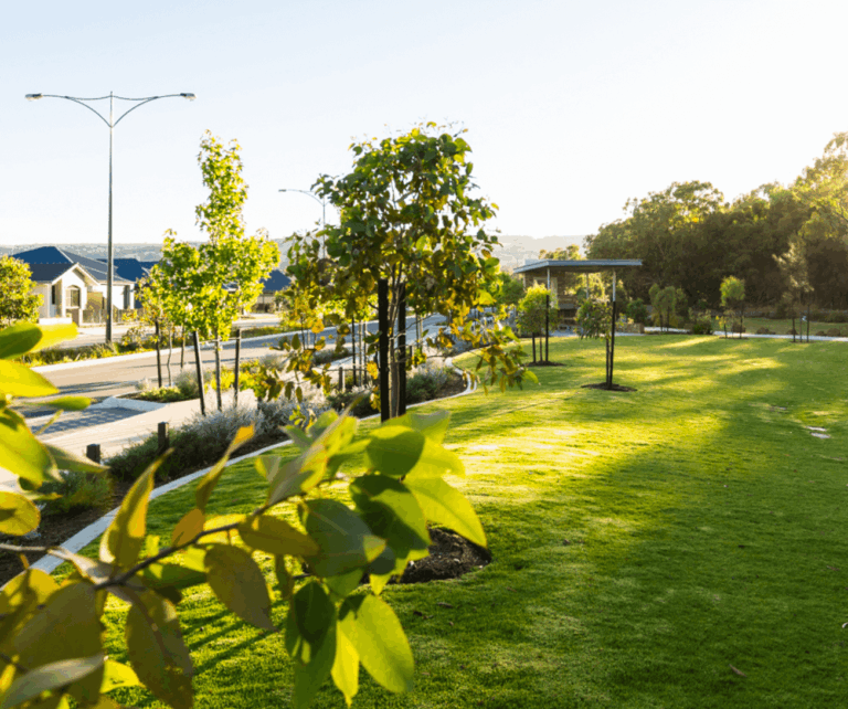 Landscaped open space and residential streetscape in Whitby Town WA