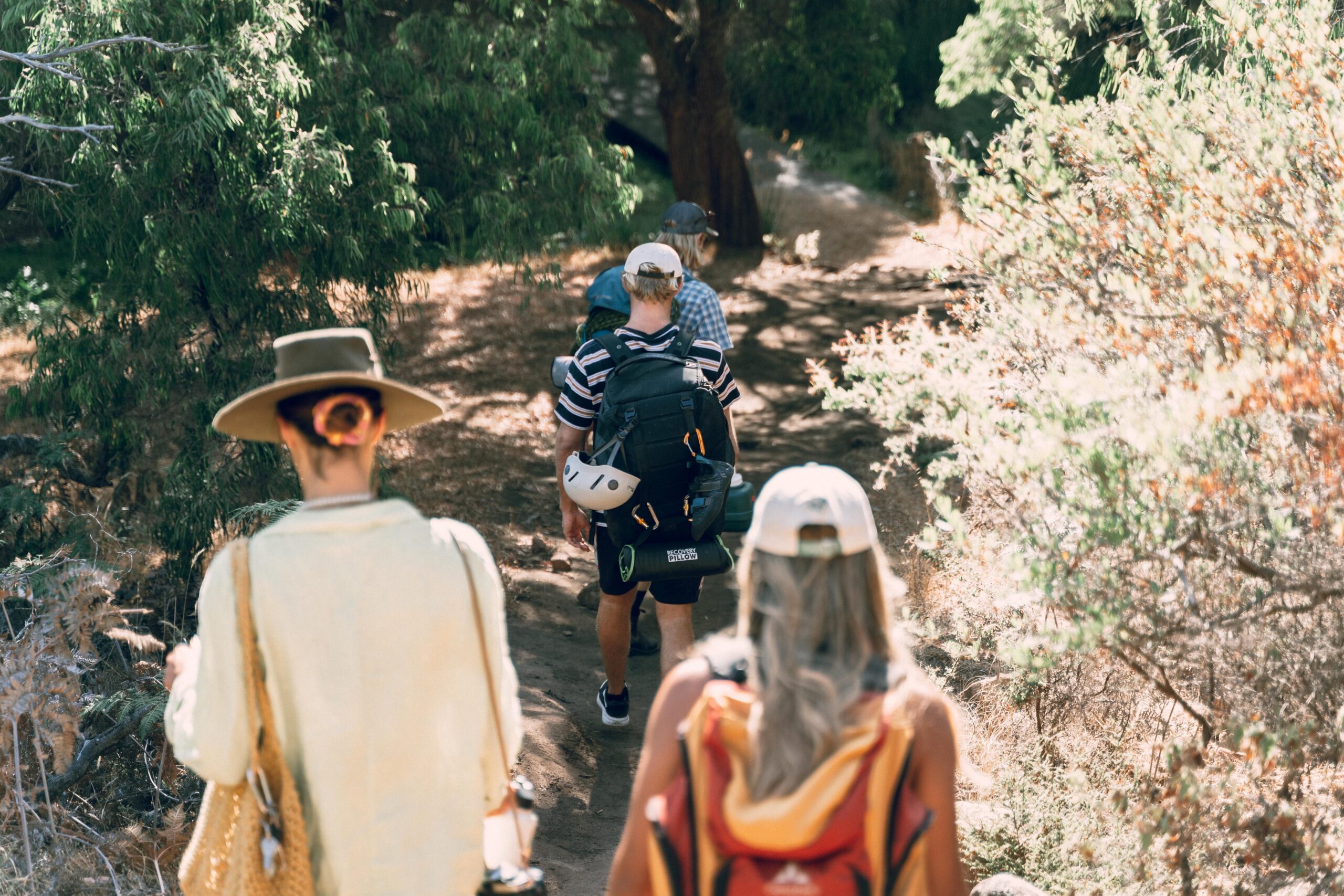 Local hiking and bushwalking near Whitby Town estate